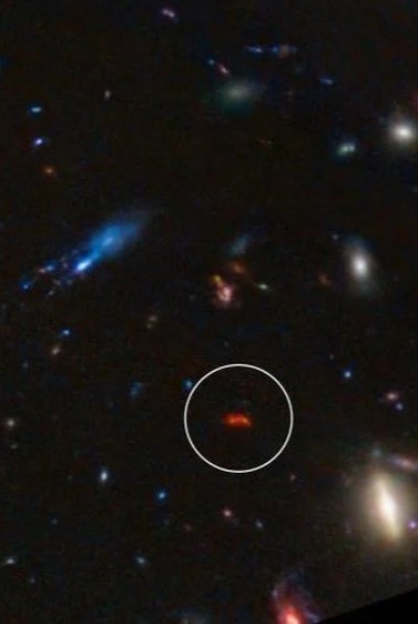 JWST Year 1 deep field — early massive galaxy candidates